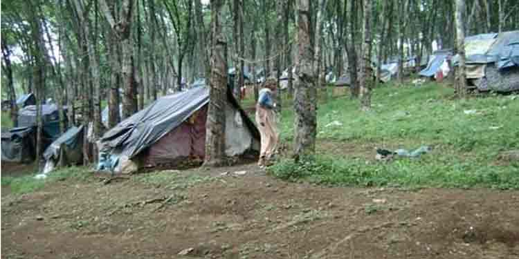 പട്ടയം അനുവദിച്ച ഭൂമി വാസയോഗ്യമല്ല”;ചെങ്ങറ മാതൃകയിൽ വീണ്ടും ഭൂസമരം