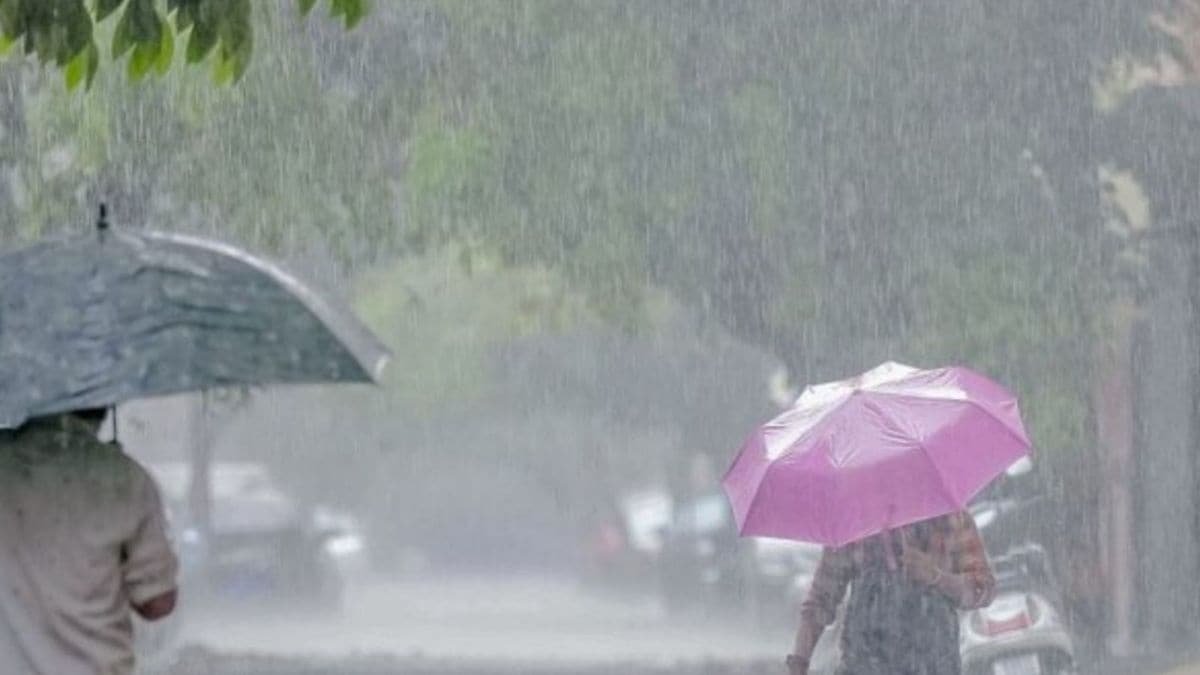 Bengal rain